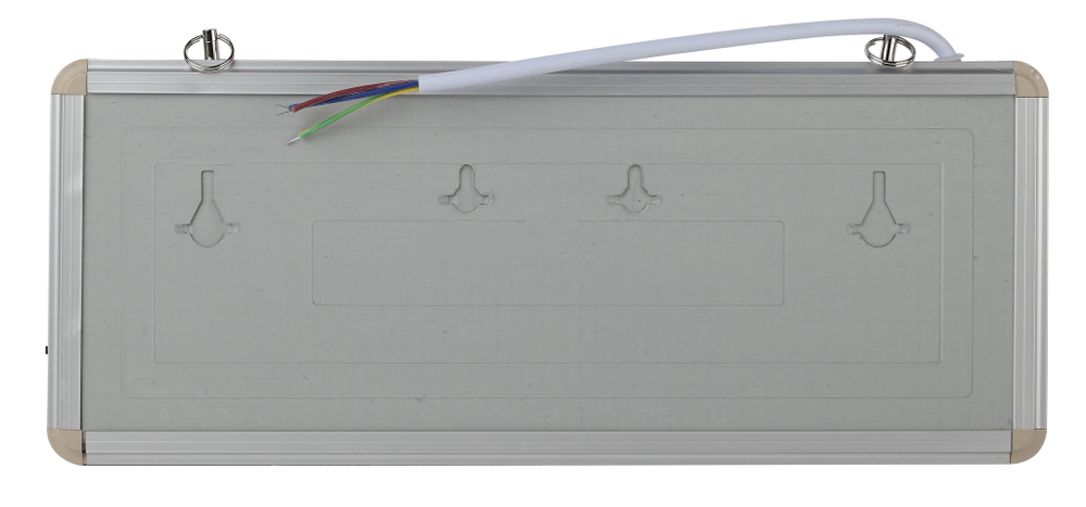 Светильник аварийный светодиодный 1,5ч 3Вт БЕЗ ТЕКСТА SSA-101-0-20 ЭРА Б0044387