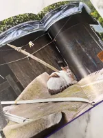 Книга Современное искусство Кореи