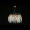 Подвесная люстра Aployt Gertunia APL.847.03.13