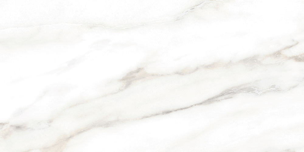 Euphoria TWU2550EPH04