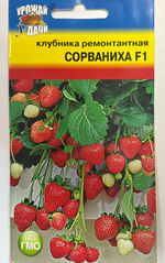 Земляника Сорваниха , 5шт., Урожай Удачи СМЯ-29