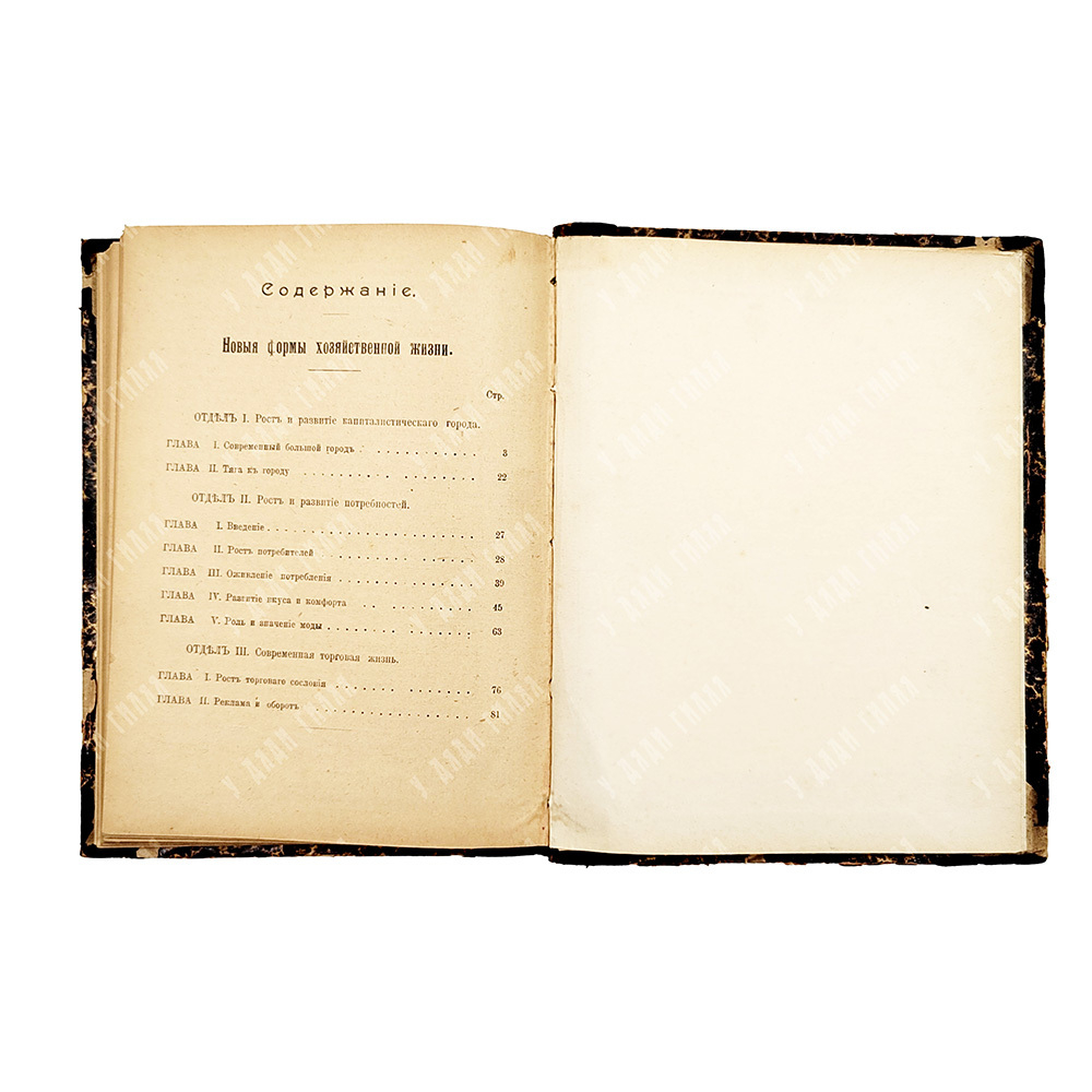 Экономическая жизнь современных народов, 1905.