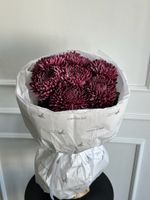 Моно из одноголовой хризантемы сливового оттенка 7 шт