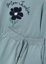 толстовка с брюками