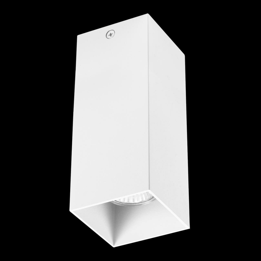 Накладной светильник Lightstar Rullo 216386