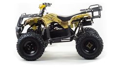Квадроцикл MOTOLAND 150 Maverick
