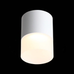 ST100.502.15 Светильник потолочный Белый LED 1*15W 3000K 1 170Lm Ra&gt;80 120° D118xH150 170-240V Накладные светильники