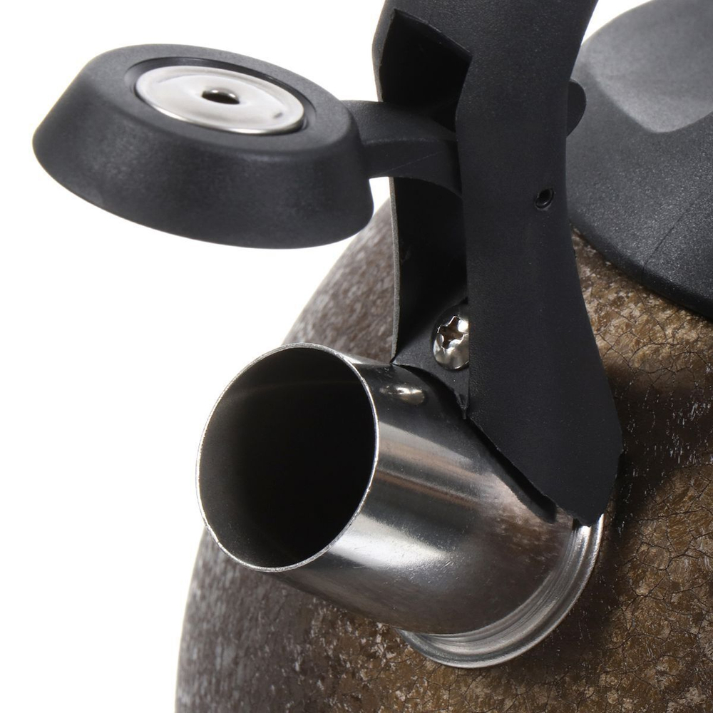 Чайник нерж, 2.7 л, свист, ручк бакелит, с силик покр, Daniks, индукц, золото, M-084