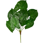 Каладиум куст 70 см.