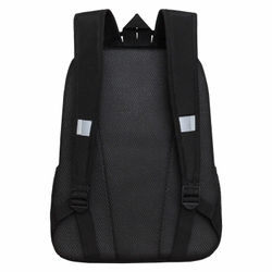 Рюкзак GRIZZLY школьный, жесткая спинка, 2 отделения, для мальчиков, SKATE OR DIE, 38х29х16 см, RB-451-6/1