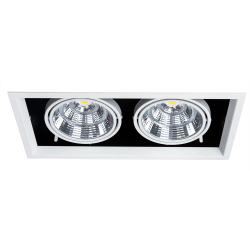 Встраиваемый светильник Arte Lamp A8450PL-2WH