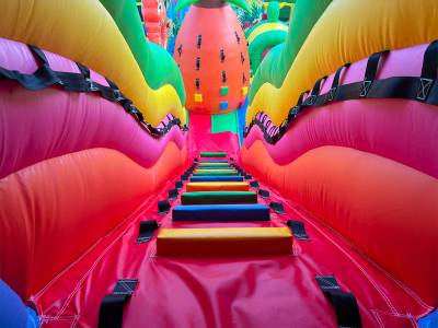 Коммерческий надувной батут «Хамелеон и динозавры Ультра 3» 12*6*6 м