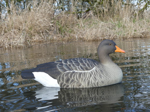 Серый плавающий гусь "FA LAST PASS GREYLAG FLOATER" (6 штук) FA-199263