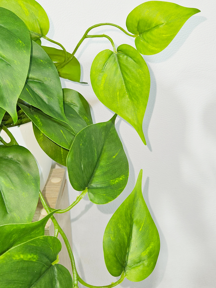 Искусственное растение Сциндапсус зеленый малый 35см в кашпо