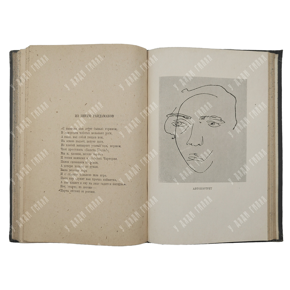 Хлебников Велимир. Избранные стихотворения. Редакция Н. Степанова. 1936 г.