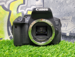 Canon EOS 650D (8.000 кадров)