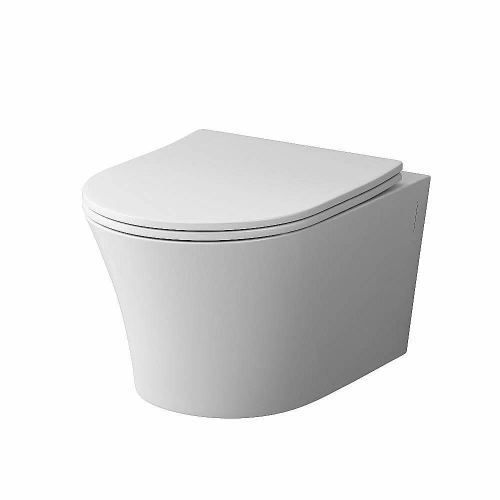 Унитаз подвесной Damixa Skyline DX35C1700SC белый, с крышкой микролифт, безободковый