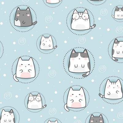 котики