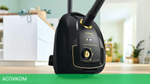 Пылесос Bosch BGL38GOLD черный/золотистый