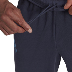 Мужские теннисные штаны Adidas Category Graphic Pant M - shadow navy/app sky rush