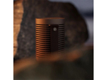 Портативная акустика Bang & Olufsen Beosound Explore Chestnut