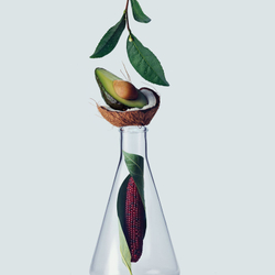 Aveda Botanical Repair Strengthening Shampoo - укрепляющий шампунь для поврежденных волос /   50  ml  / GTIN 018084019474