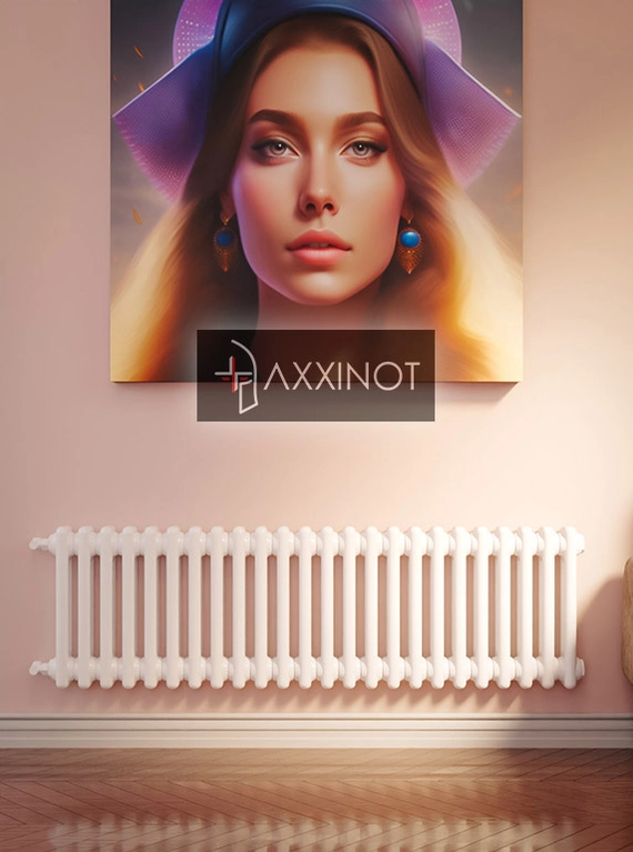 Axxinot Sentir 2030 - двухтрубный трубчатый радиатор высотой 300 мм, боковое подключение