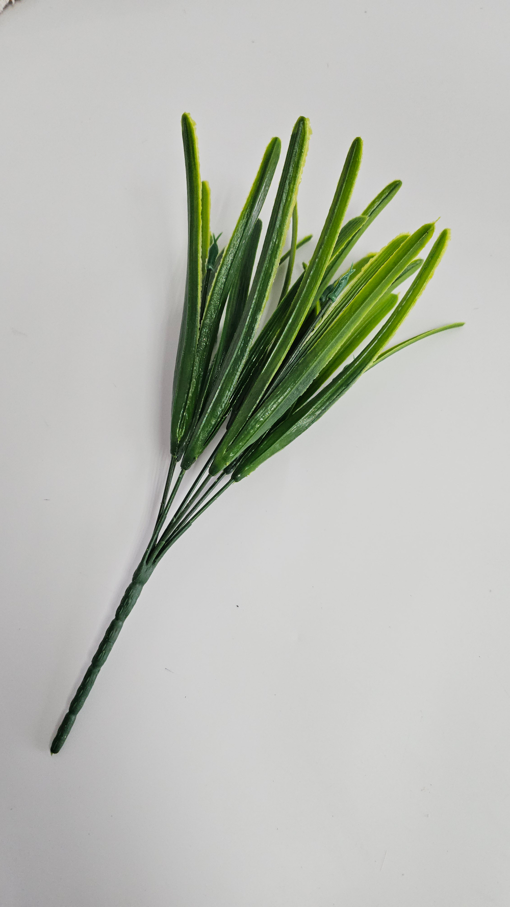 Осока Карекс / Арт 5003