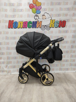 Коляска модульная Adamex Chantal Star Collection Star 102
