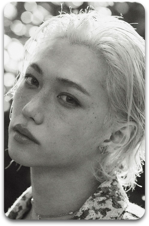 Карта / STRAY KIDS #3350