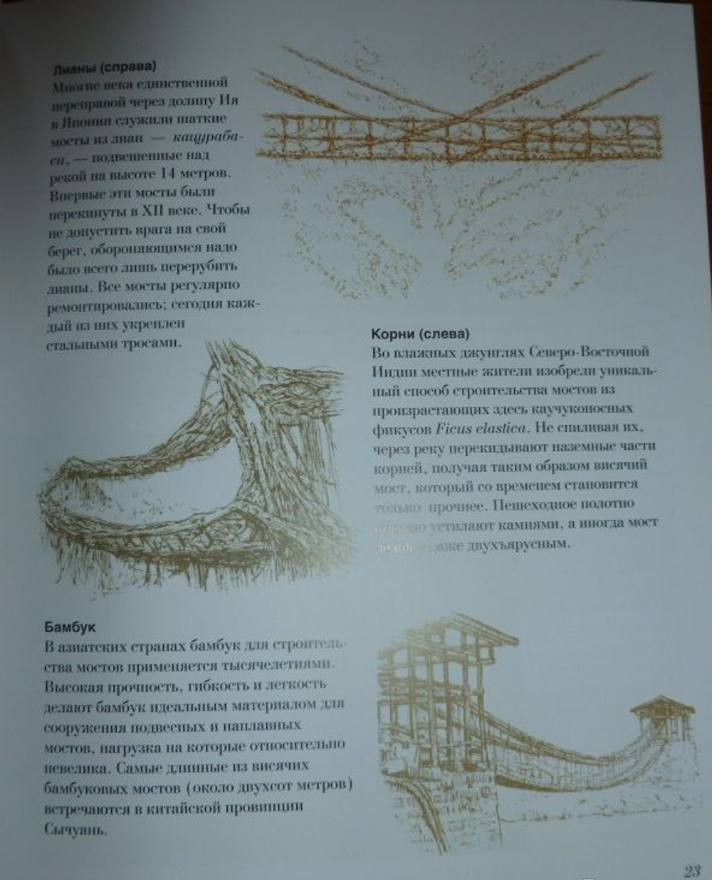 Как читать мосты. Интенсивный курс по истории создания мостов