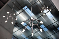 Люстра NLC pendant