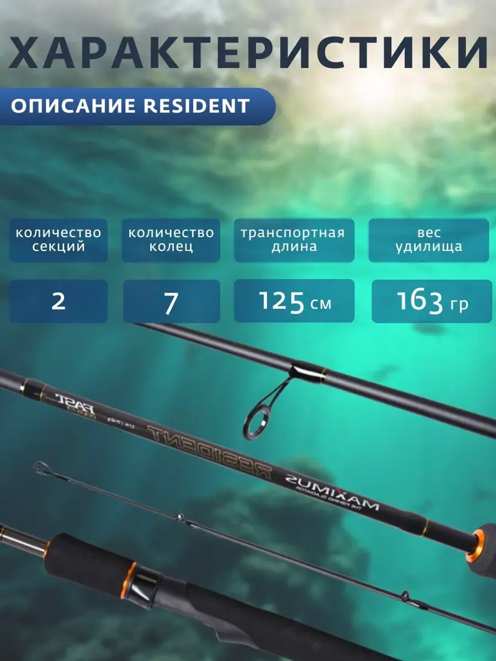 Спиннинг для рыбалки Maximus RESIDENT