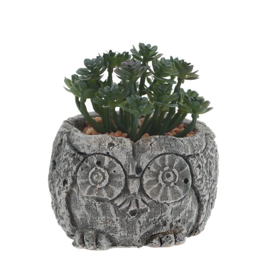 GAEM Цветочная композиция "Суккулент", L11 W11 H12 см