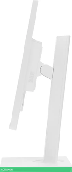 Монитор DEXP DF24H1 белый