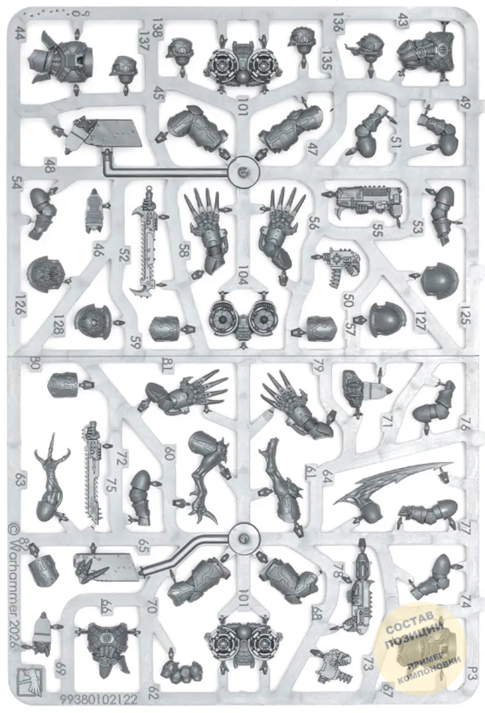 (2 in 1) Raptors / Warp Talons 2025