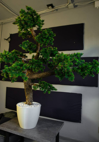 «Мастерская Декора и Деревьев Краснодар»