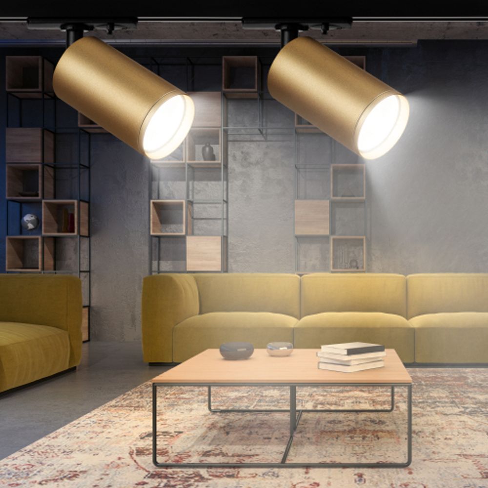 Трековый светильник однофазный ЭРА TR39-GU10 MG под лампу MR16 золото | Однофазные светильники под лампу