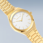 Наручные часы Bering  19641-730