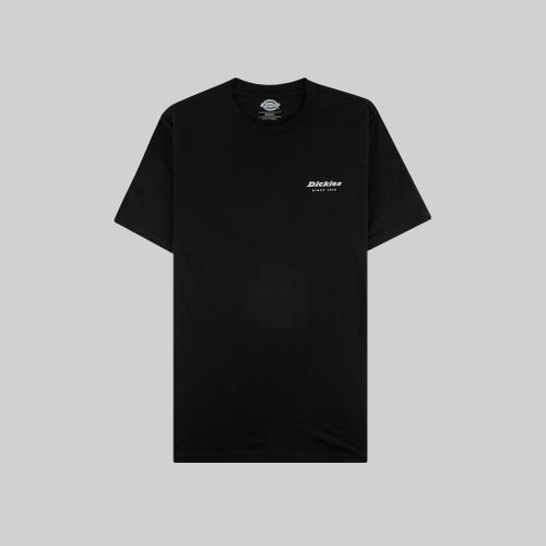 Футболка мужская Dickies Quamba артикул:DK0A4X9JBLK1 - купить в магазине Дайс