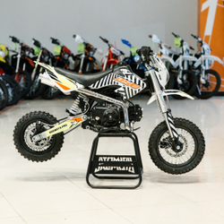 Питбайк BSE EVO 110e Twister SA (Автоматическая КПП) 12/10