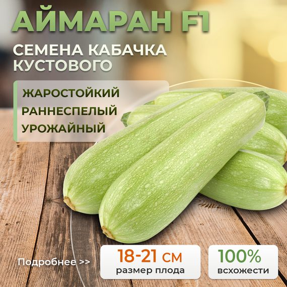 АЙМАРАН F1 семена кабачка (Nunhems | Alexagro) – фото 1