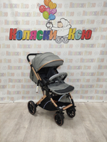 Коляска прогулочная Rant Basic Vortex Grey