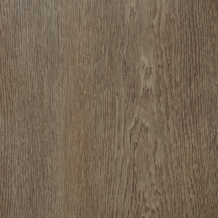 Дуб приморский