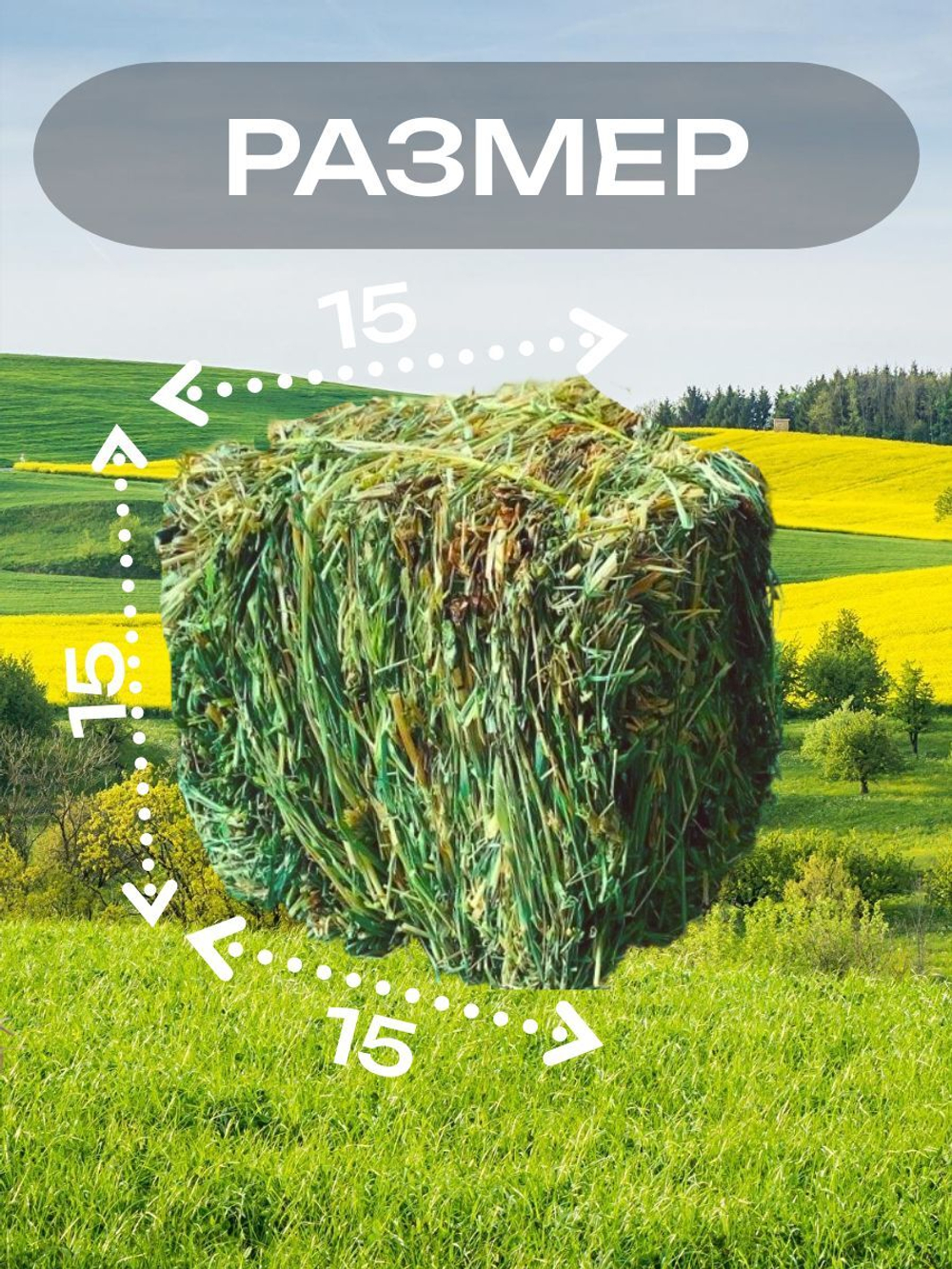 Сено луговое 900 грамм в тюках (брикетах)