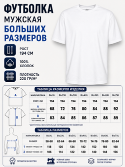 Футболка SHILCO 220F73, хлопок 100%, на высокий рост