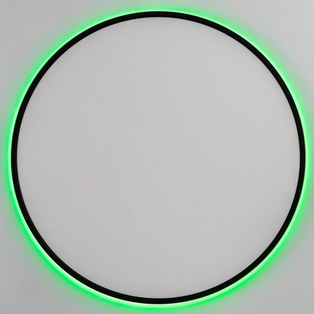 Накладной светильник Citilux NORMA CL749601