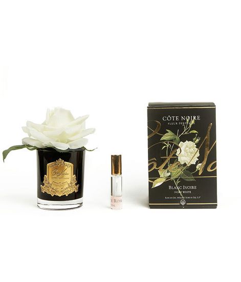 Роза цвета слоновая кость в черной вазе, Cote Noire