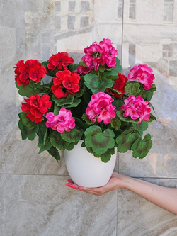 Искусственные цветы Герань красно-малиновая густая 40см в белом кашпо