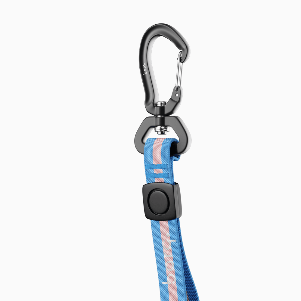 Поводок Stripes